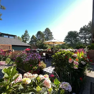 Garden In -beautiful In , Victoria Canada
