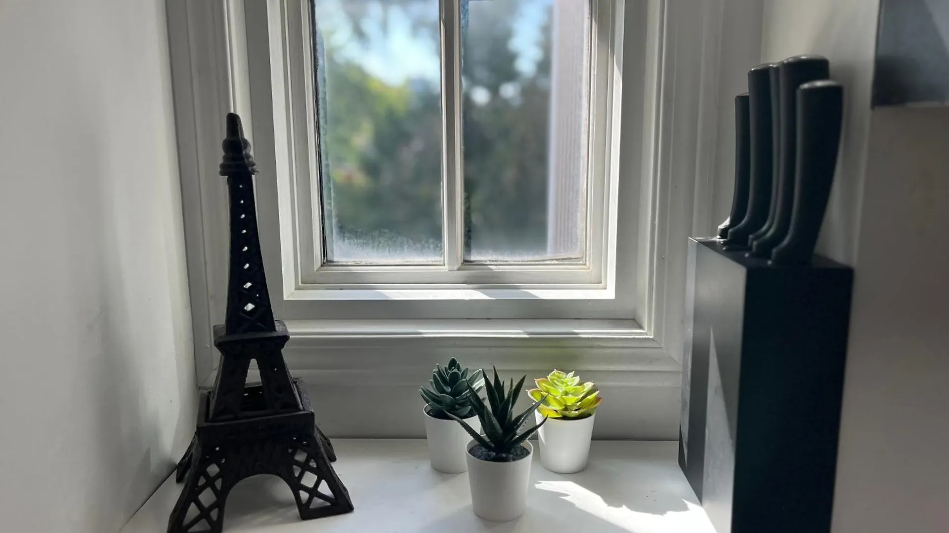 Bright, Private, Peaceful Suite With Retail Conveniences Steps Away Toronto Apartment