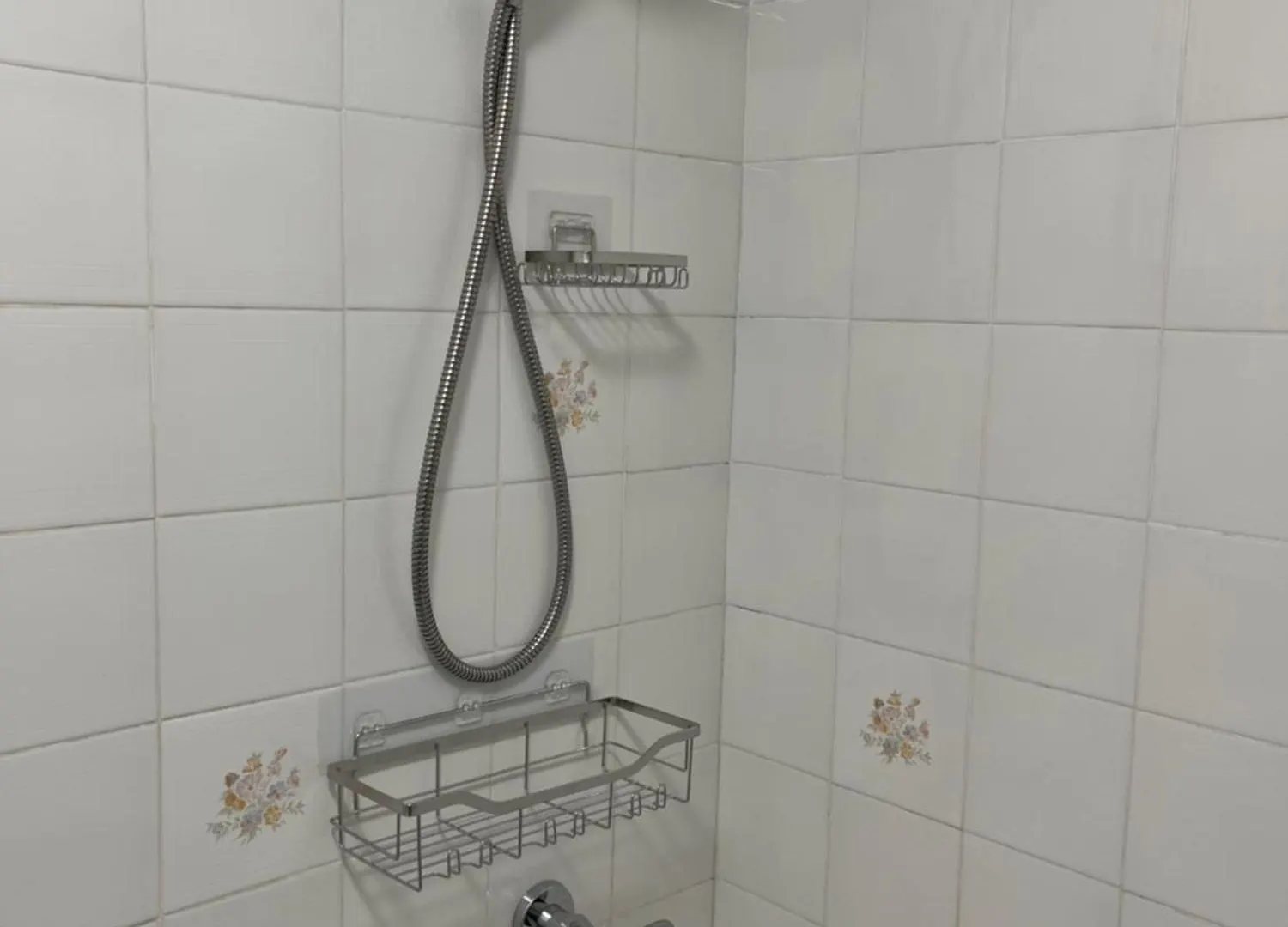 Bright, Private, Peaceful Suite With Retail Conveniences Steps Away Toronto Apartment